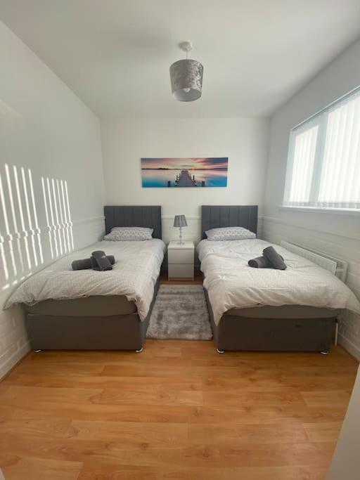 בלפסט Modern Two Bed House Close To City Centre מראה חיצוני תמונה