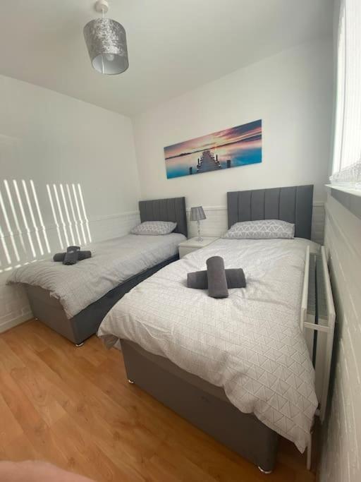 בלפסט Modern Two Bed House Close To City Centre מראה חיצוני תמונה