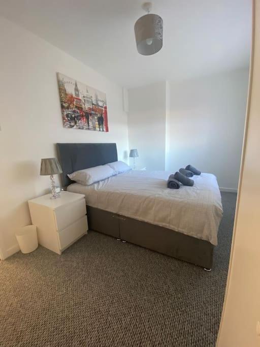 בלפסט Modern Two Bed House Close To City Centre מראה חיצוני תמונה